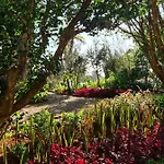 ファームステイ Quinta Da Moscadinha *