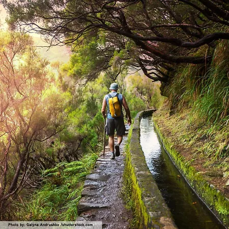 Κατάλυμα σε φάρμα Quinta Da Moscadinha