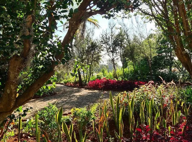 مزرعة للإقامة Quinta Da Moscadinha *